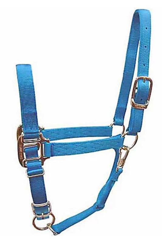 DuMOR Nylon Premium Horse Halter WEANLING/SMALL PONY Aqua