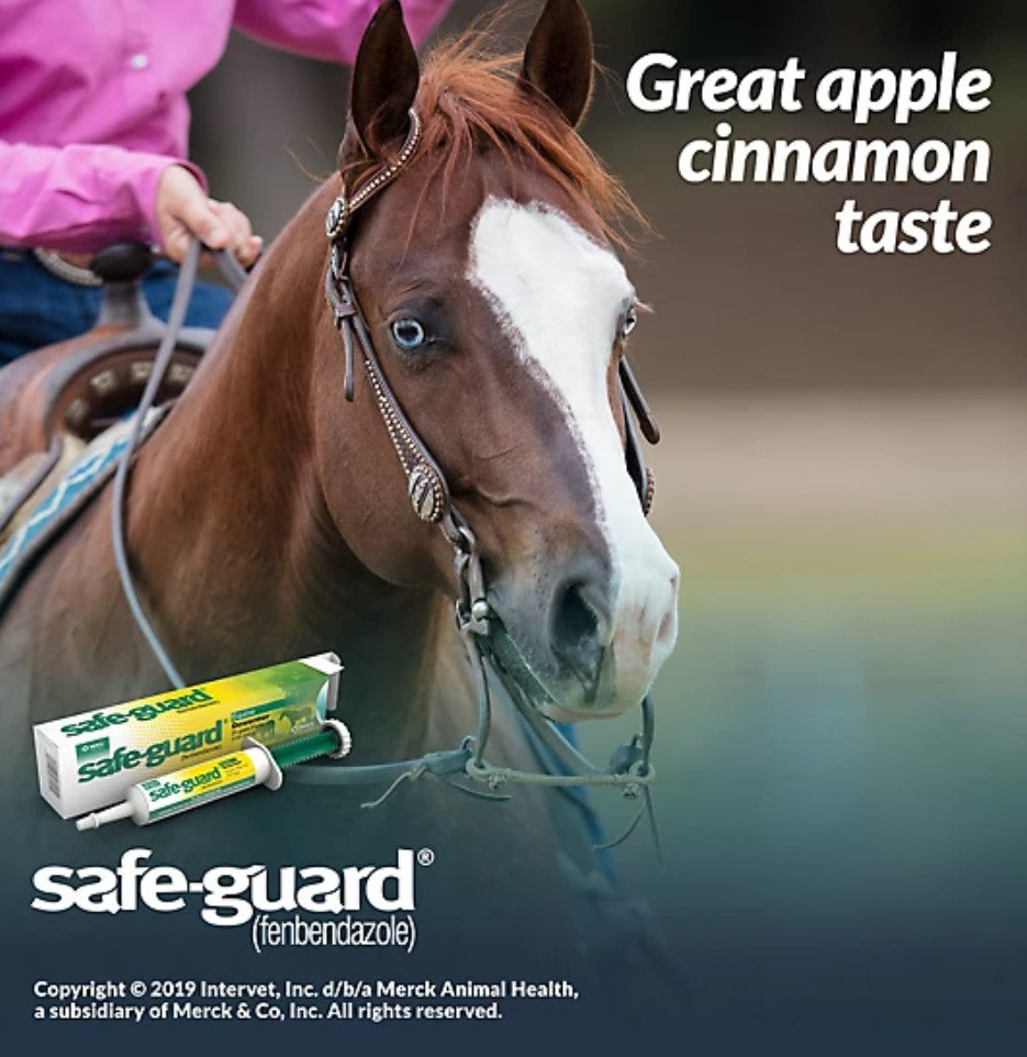 Merck Safe-Guard Horse Dewormer Paste, 25g