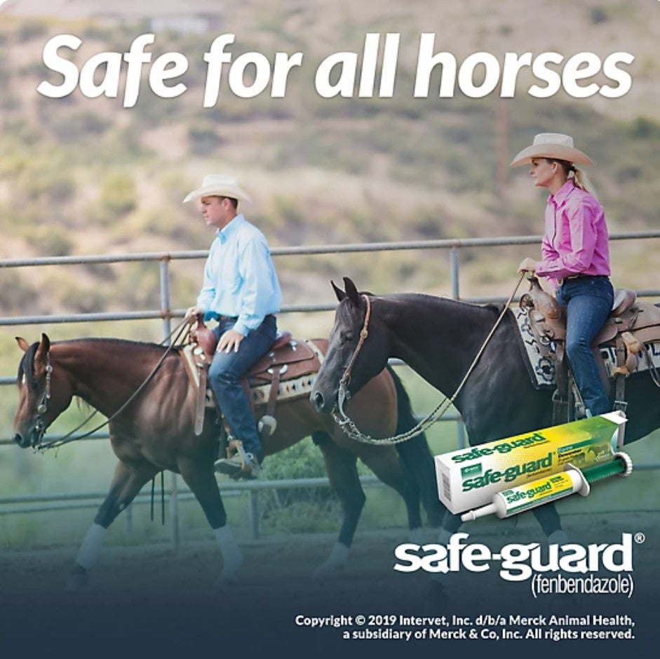 Merck Safe-Guard Horse Dewormer Paste, 25g