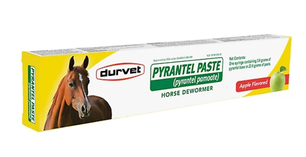 Durvet Pyrantel Horse Dewormer Paste, 23.6g