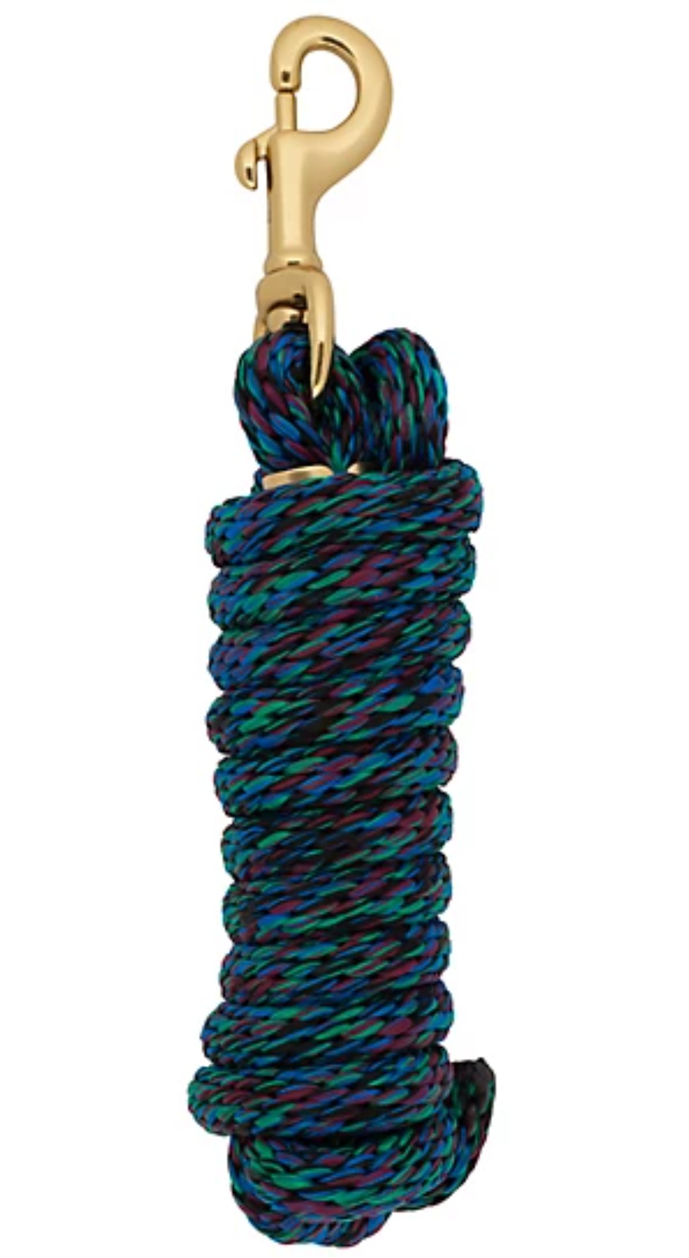 DuMOR 1 in. x 10 ft. Polyester Horse Lead with Bolt Snap