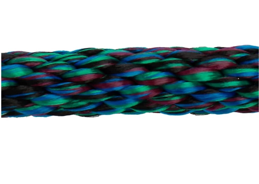 DuMOR 1 in. x 10 ft. Polyester Horse Lead with Bolt Snap