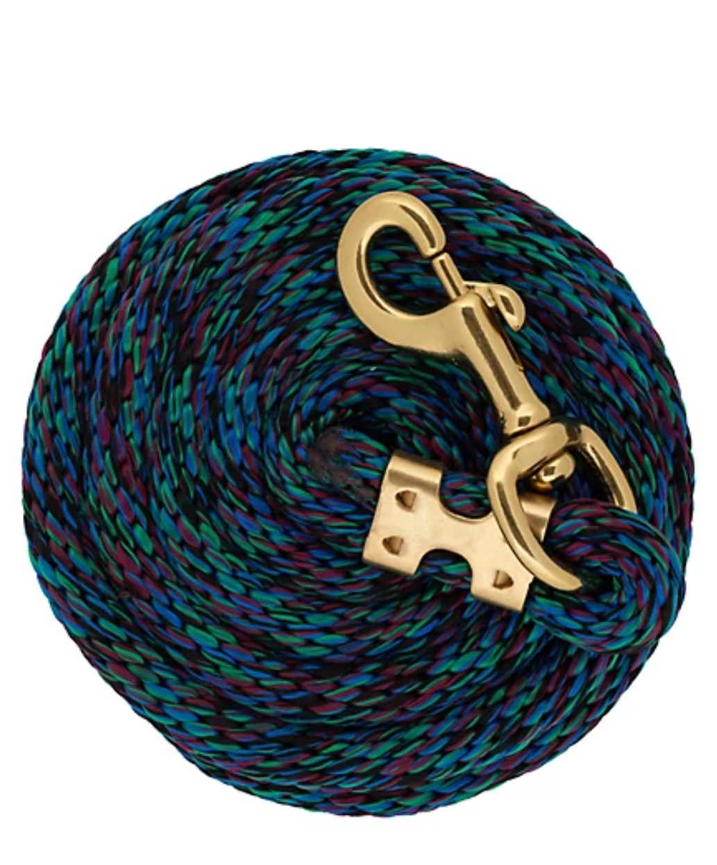 DuMOR 1 in. x 10 ft. Polyester Horse Lead with Bolt Snap