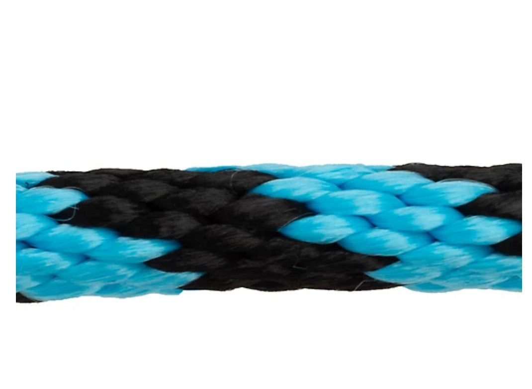 DuMOR 1 in. x 10 ft. Polyester Horse Lead with Bolt Snap