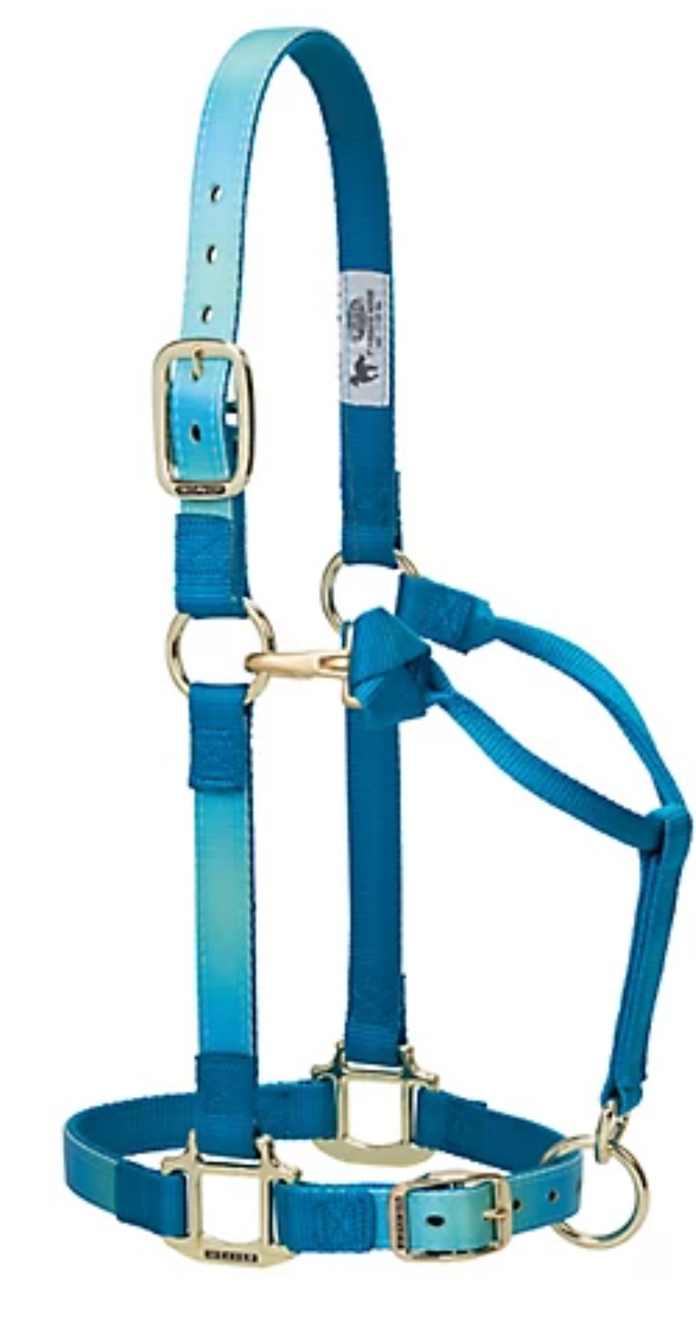 Weaver Equine Adjustable Horse Halter, Average, Blue Ombre