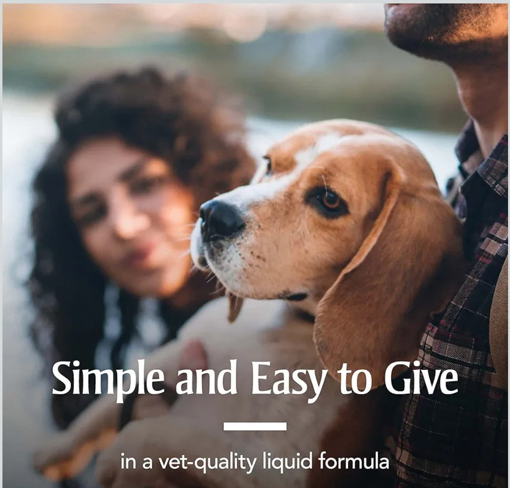 PetArmor Sure Shot Liquid Dewormer Dog, 2 oz.