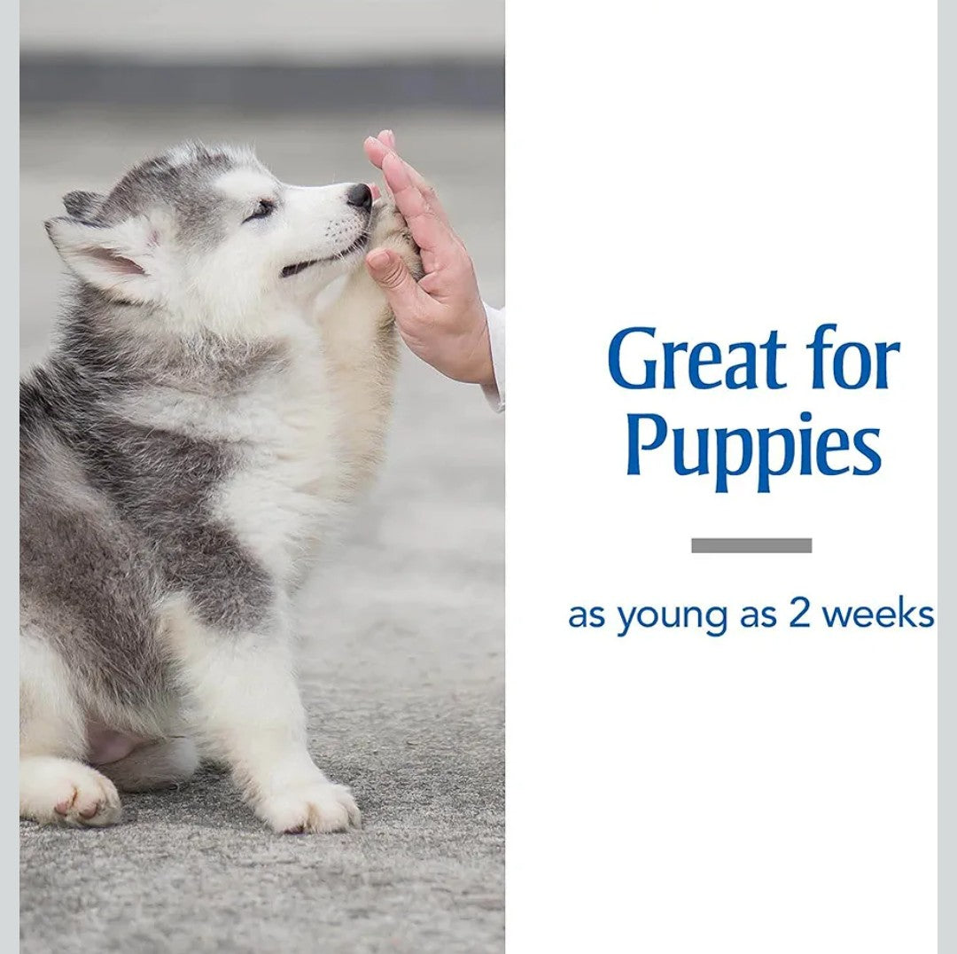 PetArmor Sure Shot Liquid Dewormer Dog, 2 oz.