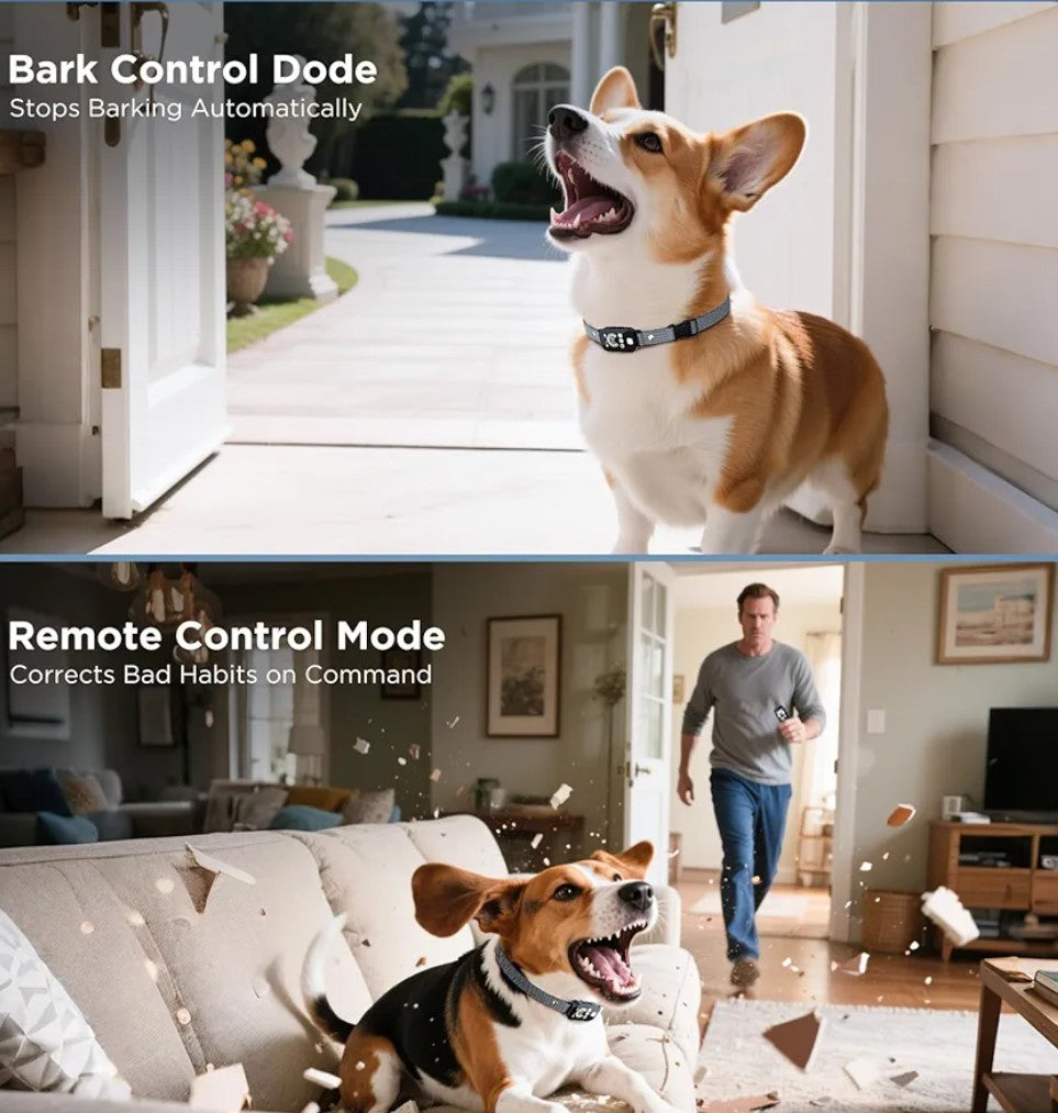 2 in 1 Dog Shock Collar & Dog Bark Collar, 4200 FT Dog Training Collar with Remote,3 Training Modes & Light for Night Walks,IP67 Waterproof Smart Anti Barking E-Collar with Adjustable Sensitivity