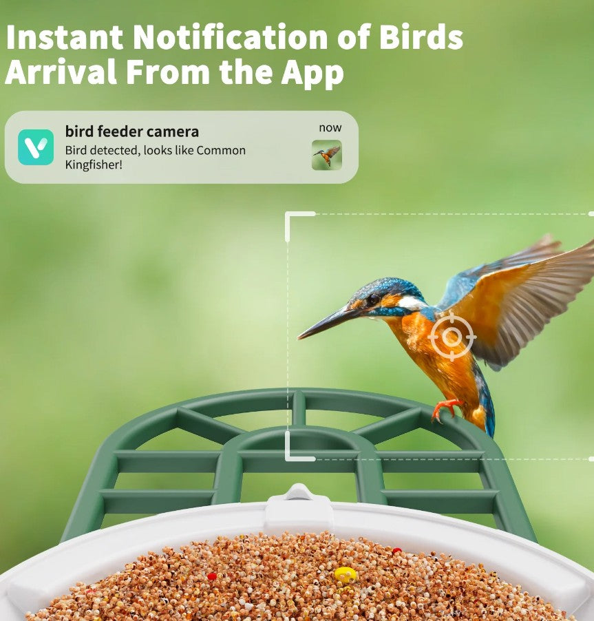 Smart Bird Feeder with Camera, WiFi Bird Watching Camera, AI Recognition, Solar Powered, Squirrel Proof, 1080p HD, Gift for Bird Lovers