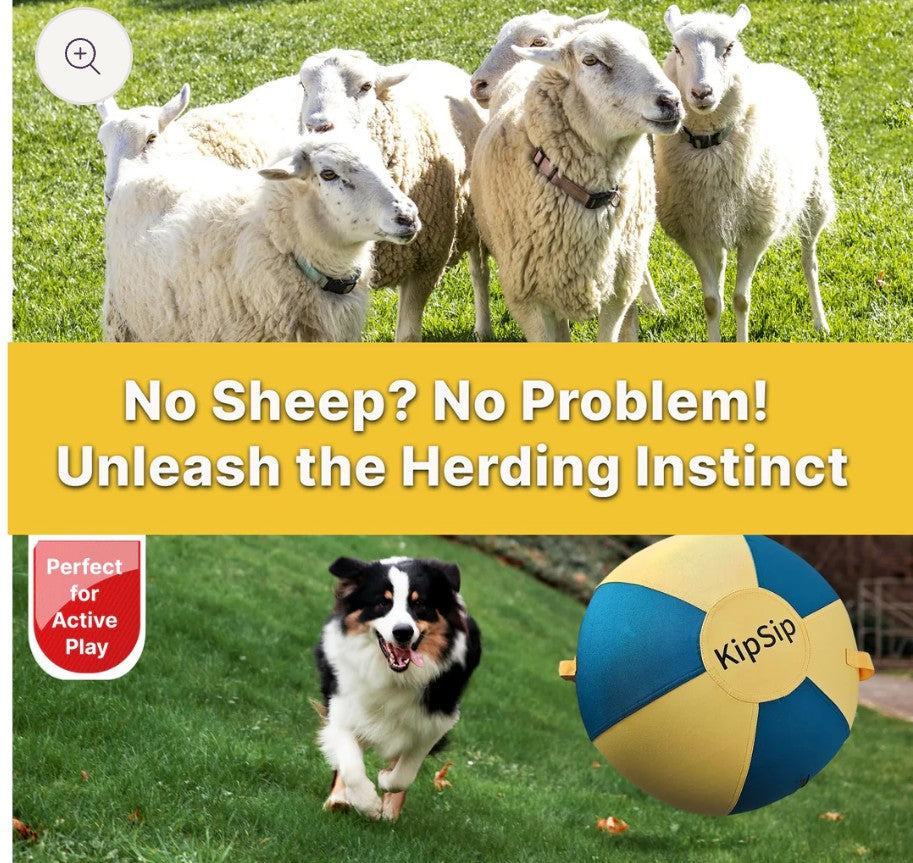KipSip Herding Ball for Dogs – 18” Heavy-Duty Exercise Toy