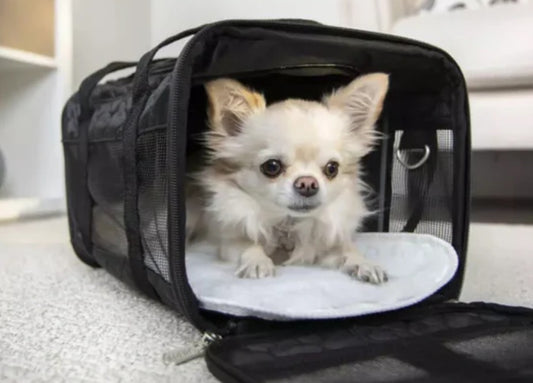 Sherpa's Pet Trading Company Original Deluxe Black Pet Carrier, Small