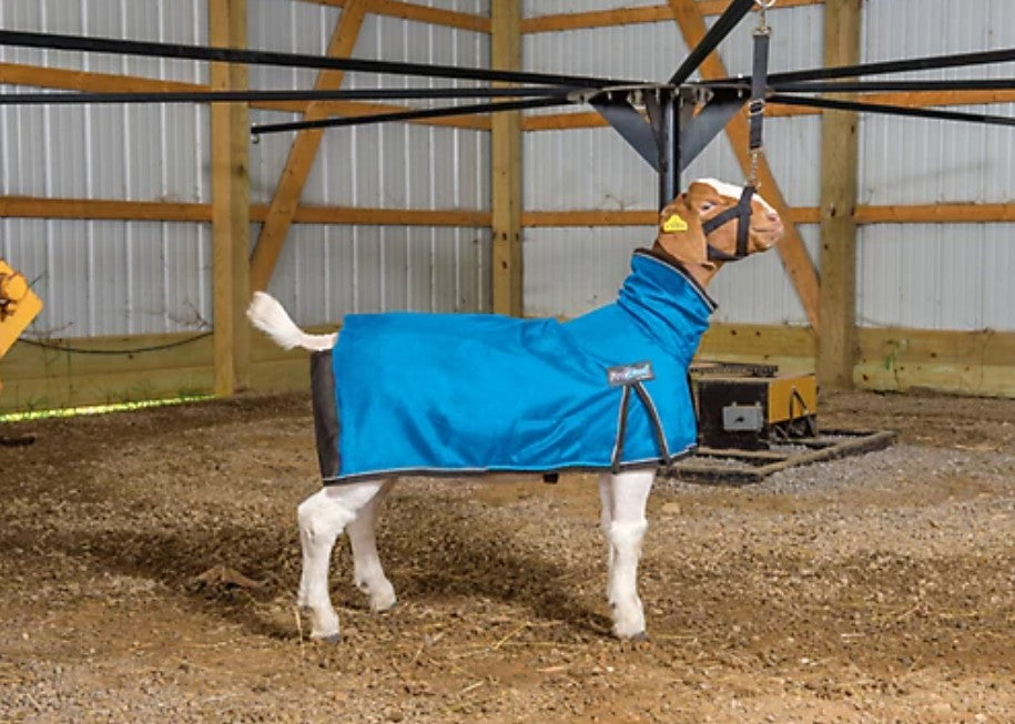 Weaver Livestock ProCool Mesh Goat Blanket with Reflective Piping MEDIUM