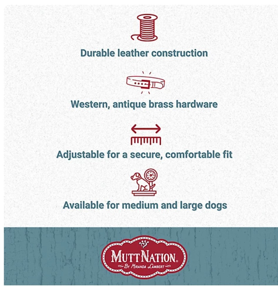 MuttNation Fueled by Miranda Lambert Tooled Leather Dog Collar MEDIUM