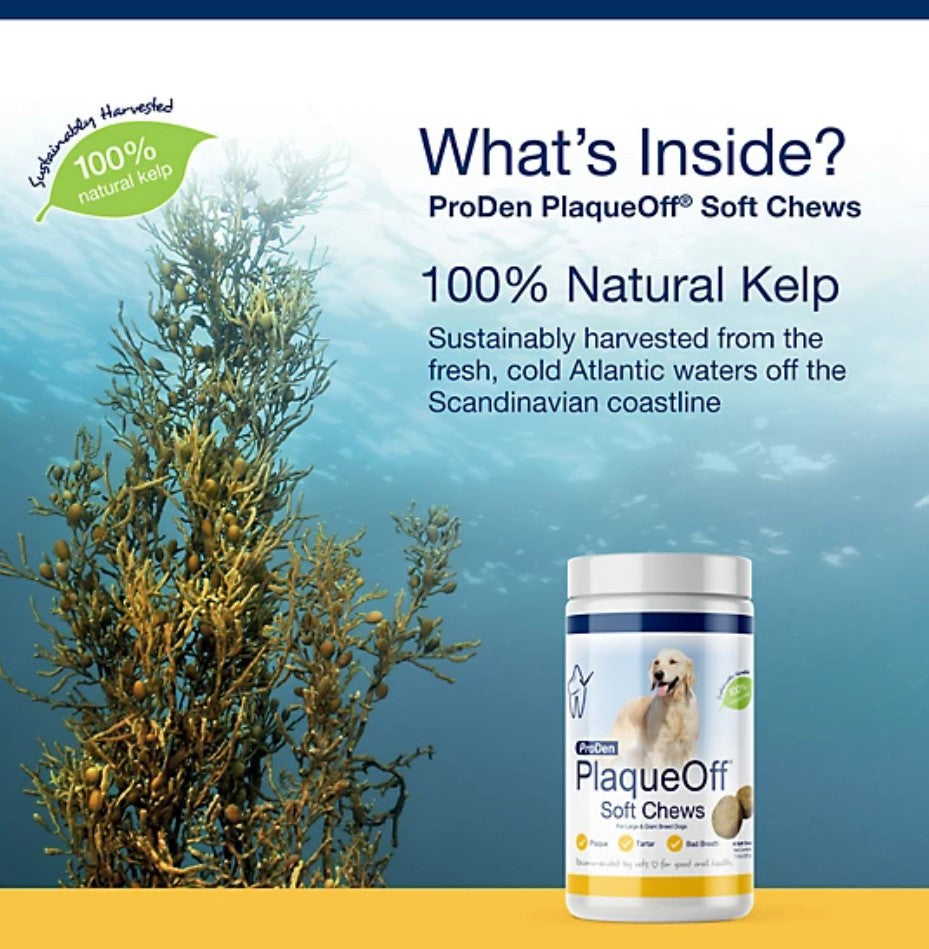 ProDen PlaqueOff Soft Dental Dog Chews for Large and Giant Breed Dogs, 45 count