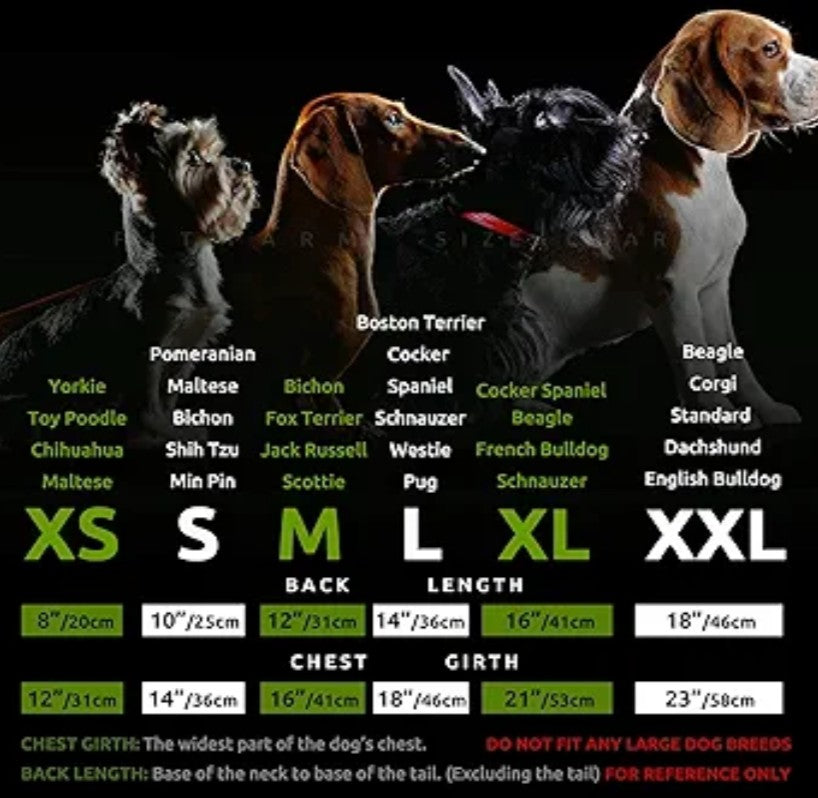 Fitwarm 2 Pack UPF 50+ UV Sun Protection Dog Shirt, Quick Dry Summer Dog Clothes for Small Dogs Boy Girl, Reflective Label, Lightweight Breathable Cooling Vest, Pet Cat Outfit, Orange, Blue, LARGE