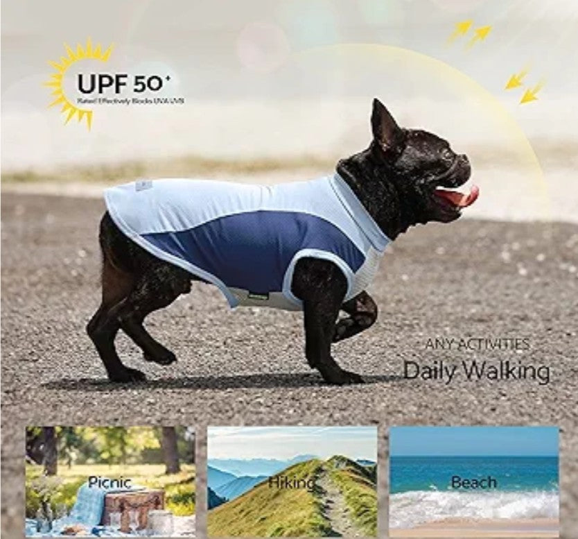 Fitwarm 2 Pack UPF 50+ UV Sun Protection Dog Shirt, Quick Dry Summer Dog Clothes for Small Dogs Boy Girl, Reflective Label, Lightweight Breathable Cooling Vest, Pet Cat Outfit, Orange, Blue, LARGE