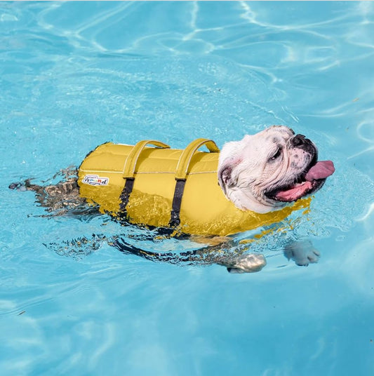 Outward Hound Granby Splash Dog Life Jacket, High-Buoyancy Dog Life Vest for Swimming, Boating, and Water Safety, Large, Yellow