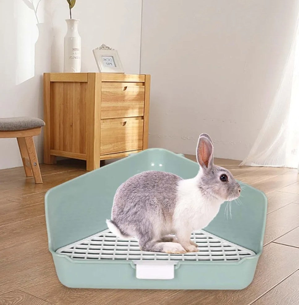 Indoor Pet Pan for with Snap Fastener for Small Animals, Green