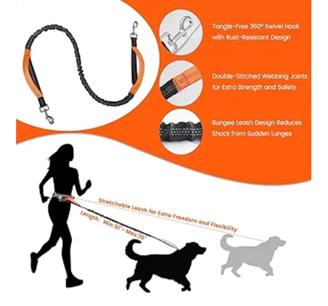Hands Free Dog Leash with Lightweight Sports Waist Pack, for Small,Medium,Large Dogs (8–120 lbs), Reflective Heavy Duty Bungee Leash with Your Dog, Running,Walking,Hiking(Green)