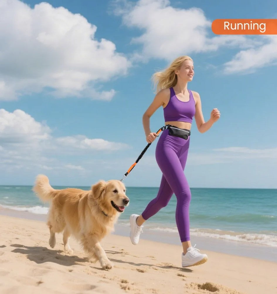 Hands Free Dog Leash with Lightweight Sports Waist Pack, for Small,Medium,Large Dogs (8–120 lbs), Reflective Heavy Duty Bungee Leash with Your Dog, Running,Walking,Hiking(Green)