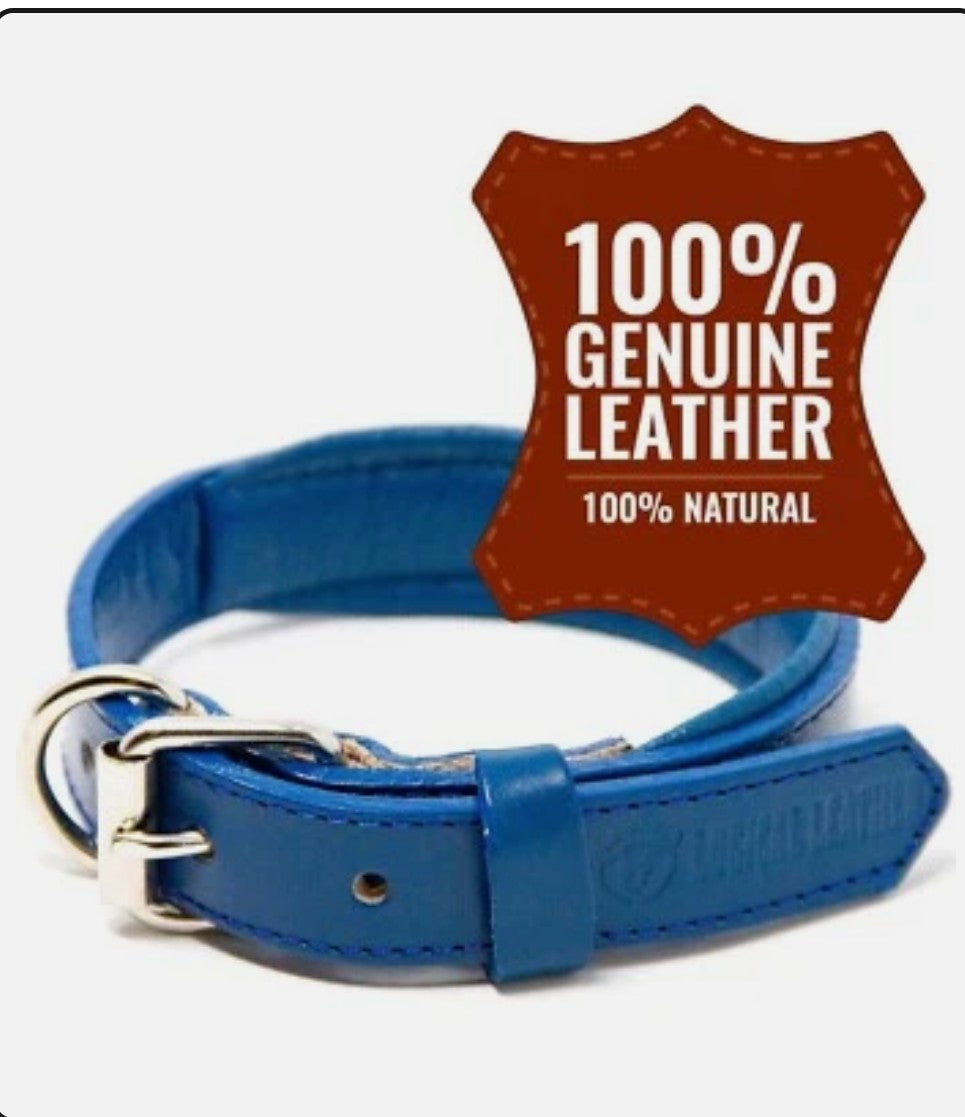 Logical Leather Large Navy Blue Genuine Leather Dog Collar