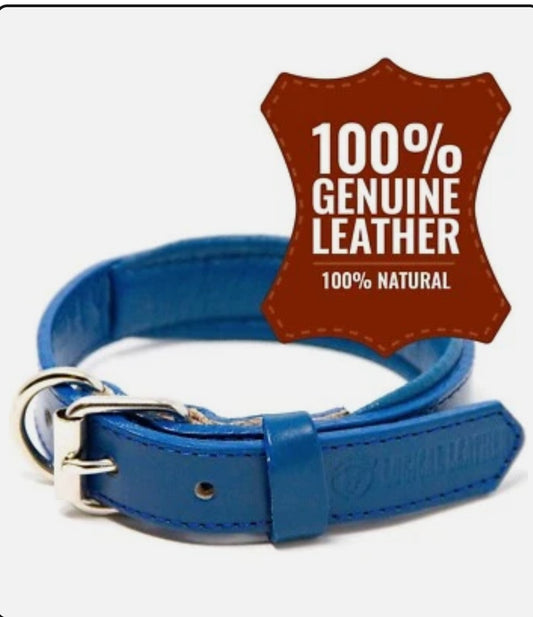 Logical Leather Large Navy Blue Genuine Leather Dog Collar