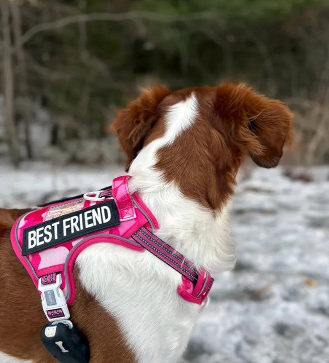 Auroth Tactical Pet Harness for Medium Dogs No Pull Adjustable, Reflective K9 Working Training Easy Control Vest Military Service Dog, Medium, Pink Camo