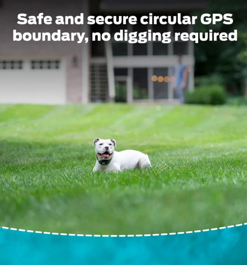 Premier Pet GPS Dog Fence Colla, Circular Wireless Boundary, Rechargeable, No Subscription