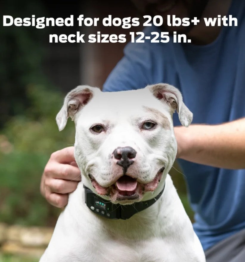 Premier Pet GPS Dog Fence Colla, Circular Wireless Boundary, Rechargeable, No Subscription