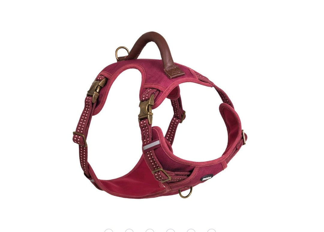 "Sporty" harness  stable harness ergonomic fit in retro look leather handle harness with 2 buckles with 4 size-adjustable straps with 2 D-rings with reflective stripes colour: red Small