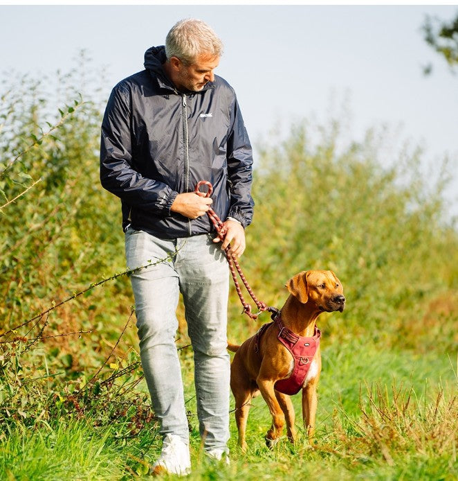 "Sporty" harness  stable harness ergonomic fit in retro look leather handle harness with 2 buckles with 4 size-adjustable straps with 2 D-rings with reflective stripes colour: red Small