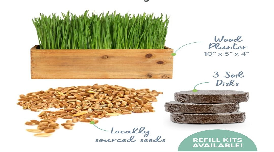 The Cat Ladies Cat Grass Kit with Rustic Wood Planter, Seed and Soil. Easy to Grow for Indoor or Outdoor Cats, Dogs and Other Pets. Prevent Hairballs and Aid Digestion