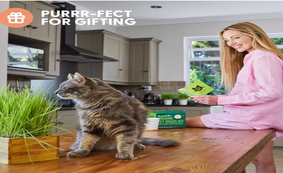 The Cat Ladies Cat Grass Kit with Rustic Wood Planter, Seed and Soil. Easy to Grow for Indoor or Outdoor Cats, Dogs and Other Pets. Prevent Hairballs and Aid Digestion