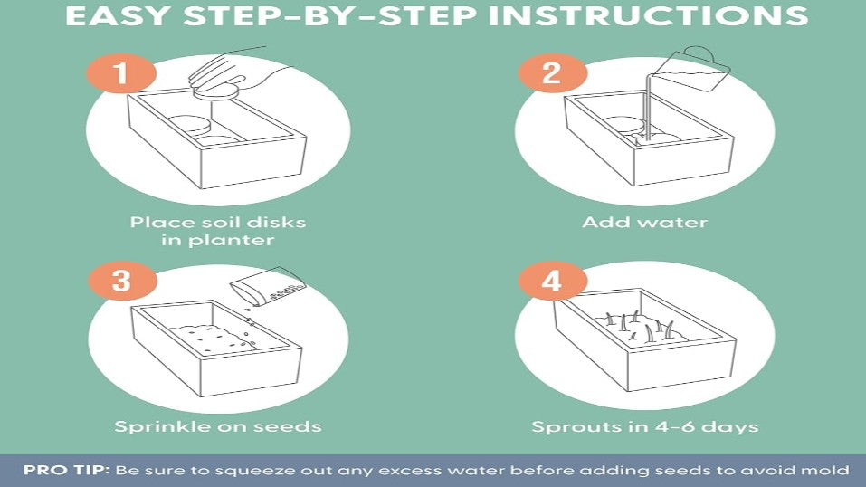 The Cat Ladies Cat Grass Kit with Rustic Wood Planter, Seed and Soil. Easy to Grow for Indoor or Outdoor Cats, Dogs and Other Pets. Prevent Hairballs and Aid Digestion