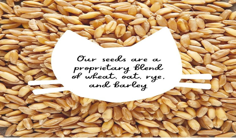 The Cat Ladies Cat Grass Kit with Rustic Wood Planter, Seed and Soil. Easy to Grow for Indoor or Outdoor Cats, Dogs and Other Pets. Prevent Hairballs and Aid Digestion