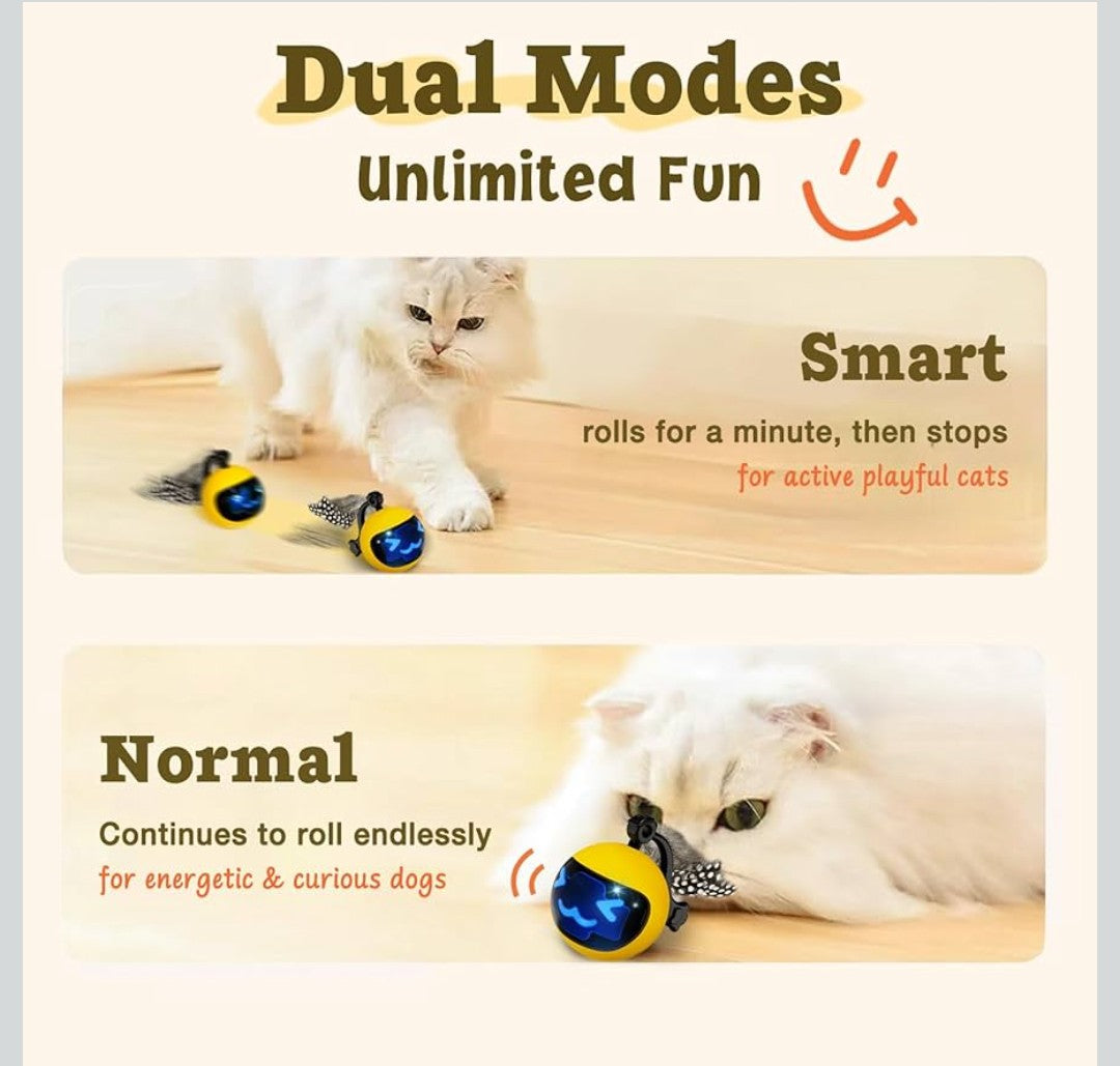 Moving Ball Cat Toys with Feather Tail, Rechargeable 2025 New Interactive Toy with Remote Control for Indoor Cats Exercise, Smart Interactive Kitten Rolling Ball