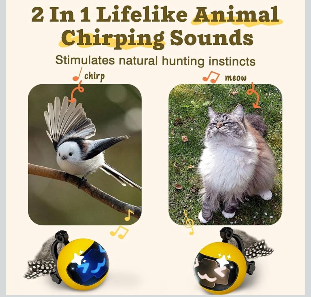 Moving Ball Cat Toys with Feather Tail, Rechargeable 2025 New Interactive Toy with Remote Control for Indoor Cats Exercise, Smart Interactive Kitten Rolling Ball