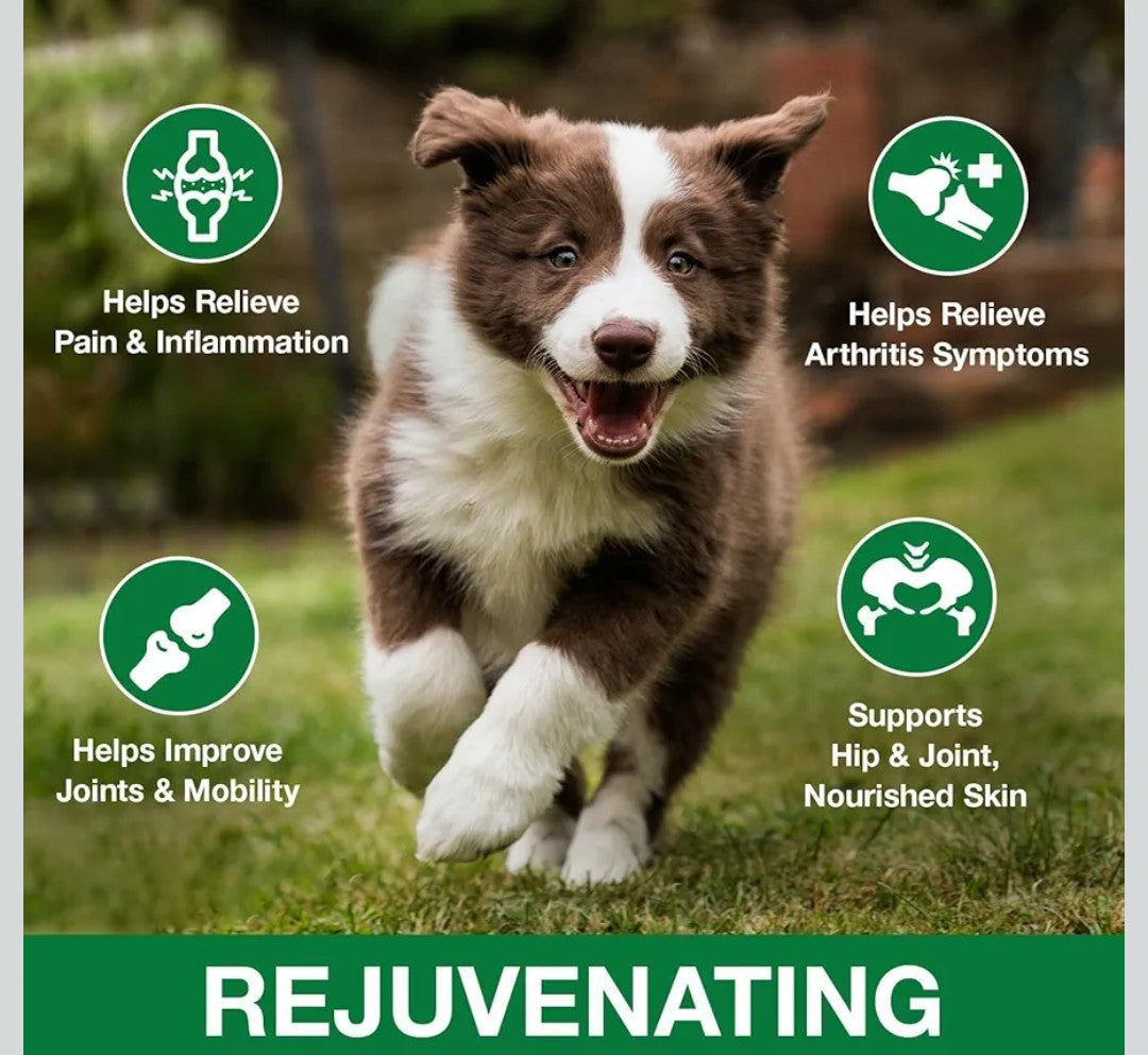 Hemp Oil for Dogs and Cats - Anxiеty Strеss Sleеp Allеrgies Arthritis Sеizures Pаin Rеlief - Promotes Skin Hip Joint Health - Calming Drops for Aggrеssive Pets