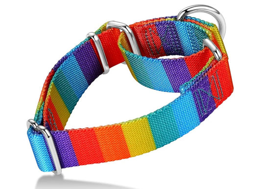 Martingale Dog Collar Colorful Gradient Fashionable - Anti-Escape Soft Durable Pets Collar for Walking Training Outdoor Daily Use -Medium, Sunny Rainbow
