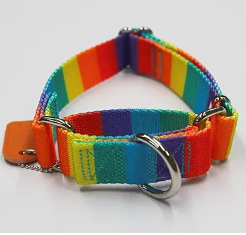 Martingale Dog Collar Colorful Gradient Fashionable - Anti-Escape Soft Durable Pets Collar for Walking Training Outdoor Daily Use -Medium, Sunny Rainbow