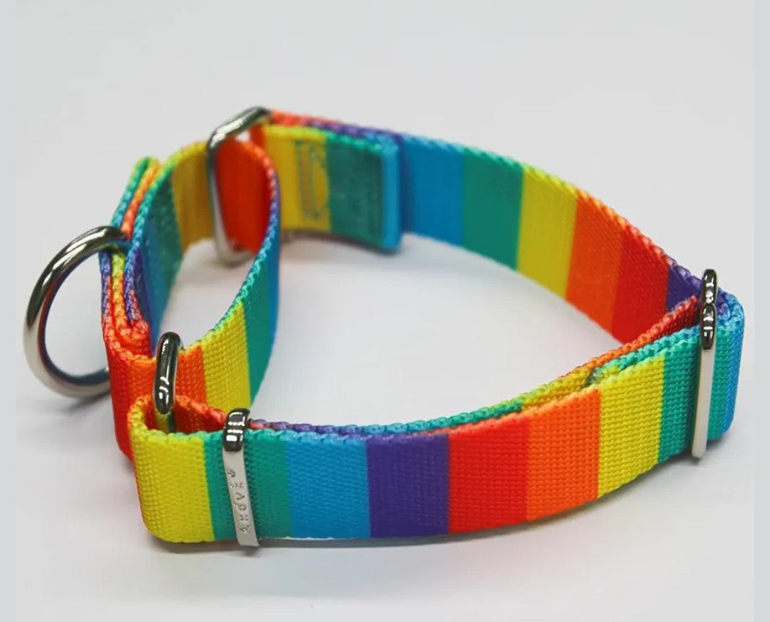 Martingale Dog Collar Colorful Gradient Fashionable - Anti-Escape Soft Durable Pets Collar for Walking Training Outdoor Daily Use -Medium, Sunny Rainbow