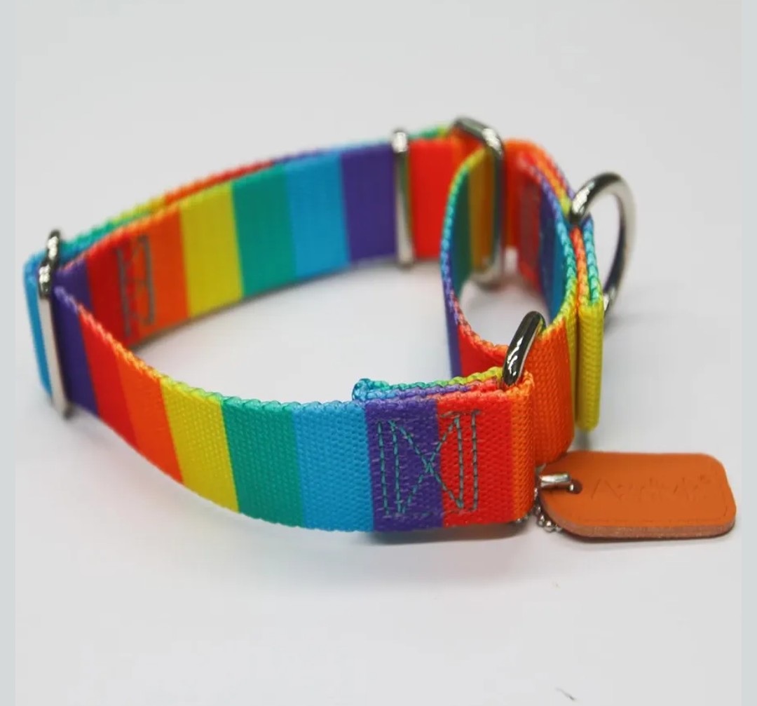 Martingale Dog Collar Colorful Gradient Fashionable - Anti-Escape Soft Durable Pets Collar for Walking Training Outdoor Daily Use -Medium, Sunny Rainbow