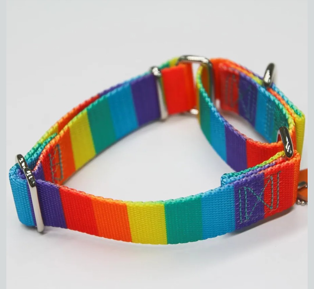 Martingale Dog Collar Colorful Gradient Fashionable - Anti-Escape Soft Durable Pets Collar for Walking Training Outdoor Daily Use -Medium, Sunny Rainbow