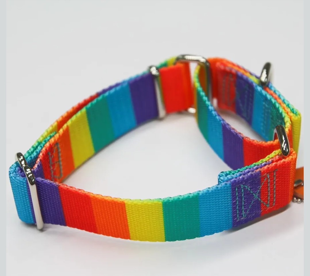 Martingale Dog Collar Colorful Gradient Fashionable - Anti-Escape Soft Durable Pets Collar for Walking Training Outdoor Daily Use -Medium, Sunny Rainbow