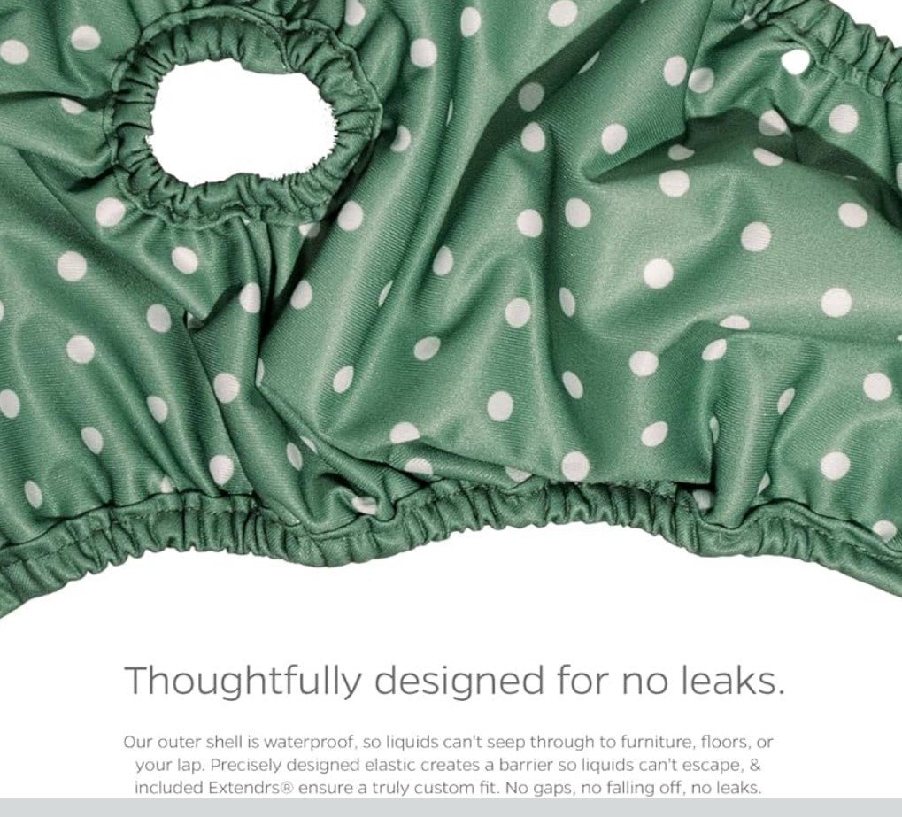 Pet Parents® Washable Dog Diapers (3pack) + Extendrs® of Durable Doggie Diapers, Premium Dog Diapers Female (Small, Daisy)