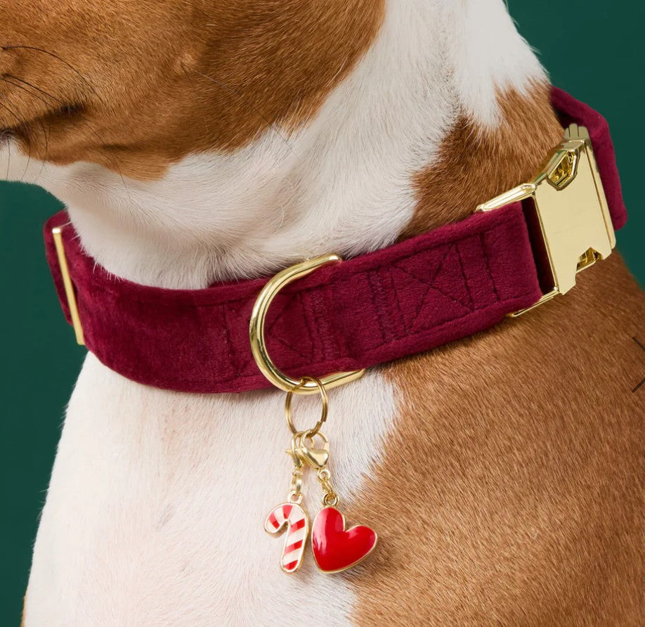 Burgundy Velvet Dog Collar Small