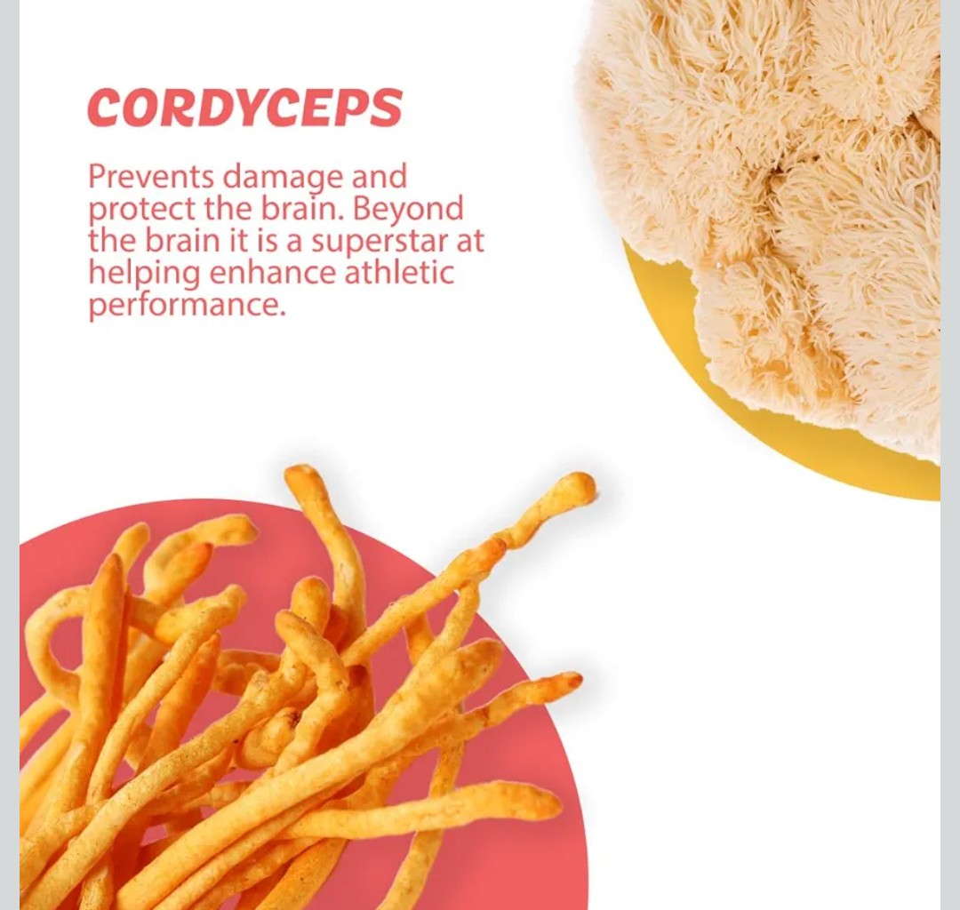 Silver Star Nutrition, Roots Focus Nootropic Brain Supplement - Strawberry Watermelon, Blend of Lion's Mane, Cordyceps, & Reishi Functional Mushrooms + Extended-Release Caffeine, 50 Servings