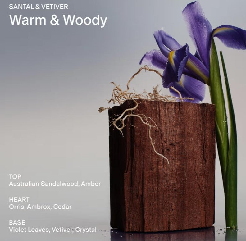 SALT & STONE Aluminum Free Deodorant | Extra Strength 48 Hour Protection for Women & Men | Made with Seaweed Extracts, Shea Butter & Prebiotics (Santal & Vetiver)