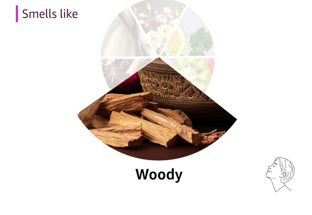 SALT & STONE Aluminum Free Deodorant | Extra Strength 48 Hour Protection for Women & Men | Made with Seaweed Extracts, Shea Butter & Prebiotics (Santal & Vetiver)