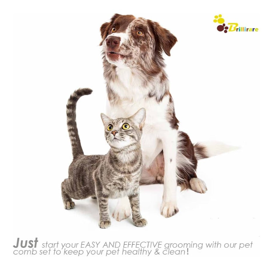 Flea Lice Comb, Stainless Steel Dog Cat Grooming Combs with Rounded Teeth, Professional Pet Tear Stain Remover, Dematting Tool for Small, Medium & Large Pets